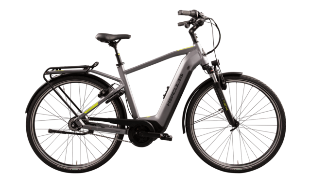 Hercules Robert/a Deluxe I-F8 625Wh HE53 cm '21 gray electric bike