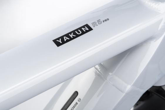 Winora Yakun R5 pro i750Wh HE45cm '22 gray electric bike