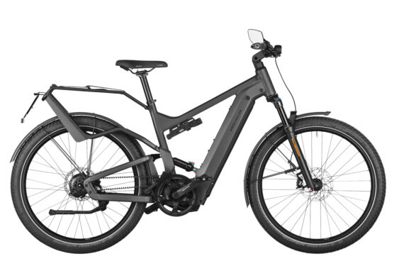 RM Delite4 GT rohloff HS HE51 cm '24 gray electric bike (750Wh, kiox 500)