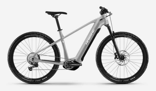 Haibike ALLTRACK 7 29 i720Wh 55cm '25 gray-white electric bike